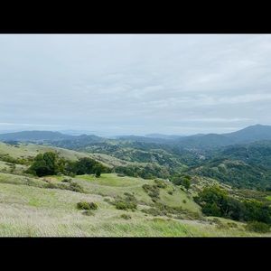 Meet your Posher, Francisca